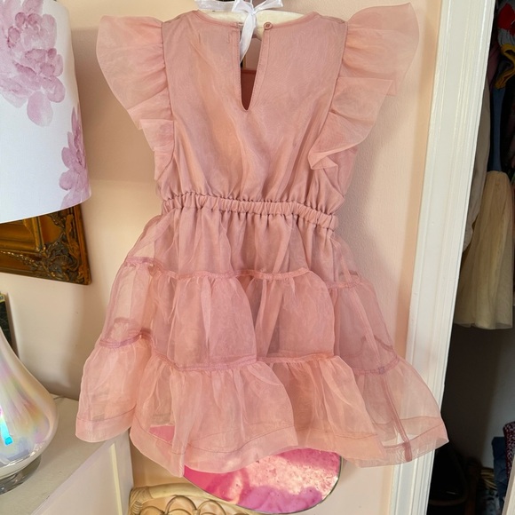NWOT Organza Tiered Ruffle Pink Dress Size 5 Dress Up Girly Tutu Ruffle Princess - Picture 2 of 6